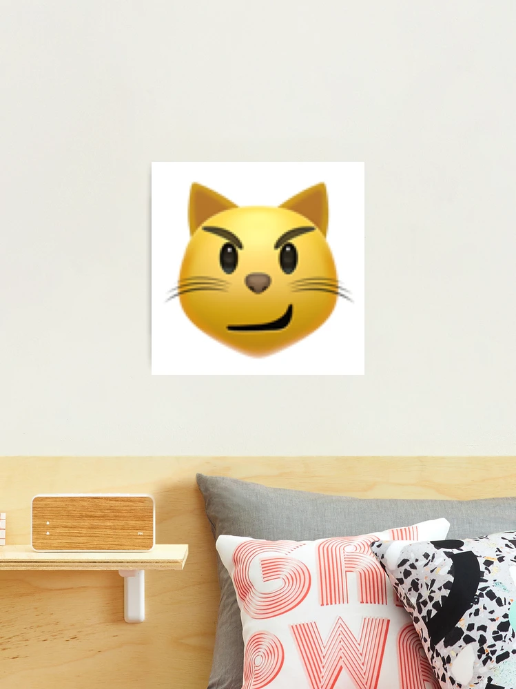  Funny Emoticon Apparel Smirking Emoticon Face with Wry Smile Cat  Throw Pillow, 18x18, Multicolor : Home & Kitchen