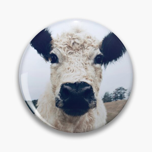 Item preview, Galloway designed and sold by Kokako.