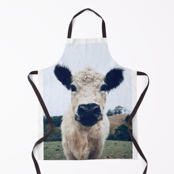 Item preview, Galloway designed and sold by Kokako.
