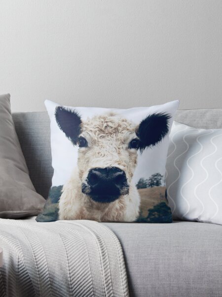Item preview, Galloway designed and sold by Kokako.