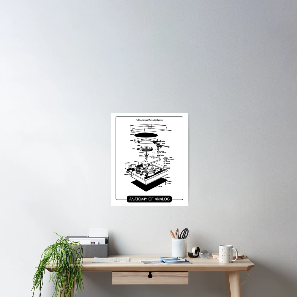 Rap Album Print on a Retro Vinyl Record Stylish Home Decor Wall Hangings  Great Gift Idea Unique Poster