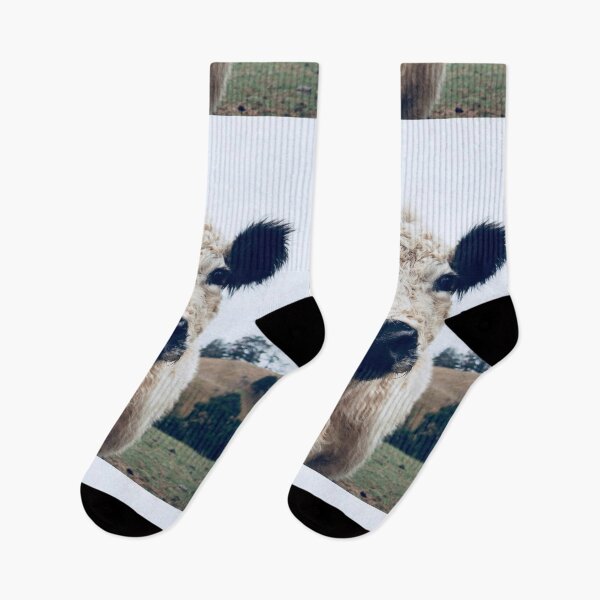 Item preview, Galloway designed and sold by Kokako.