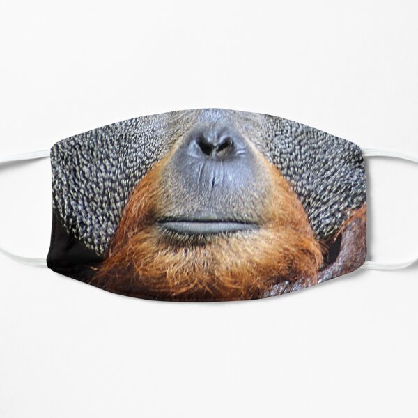 Orangutan Ape Face Portrait Closeup Mask
