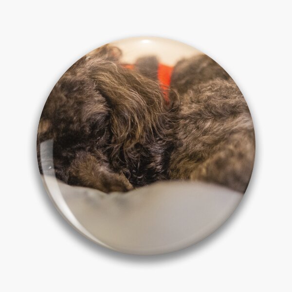 Item preview, Sleeping fluff fluff designed and sold by KensLensDesigns.