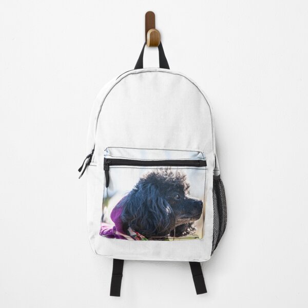 Item preview, Fluffy Dog designed and sold by KensLensDesigns.