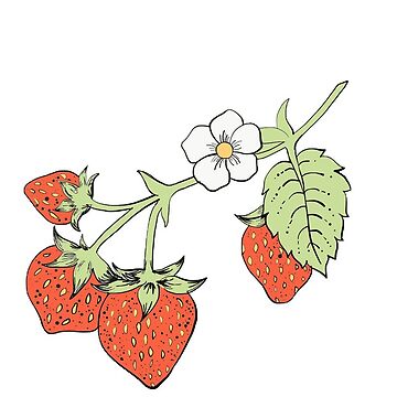 Artwork thumbnail, strawberry plant sticker by Katelyn Wise