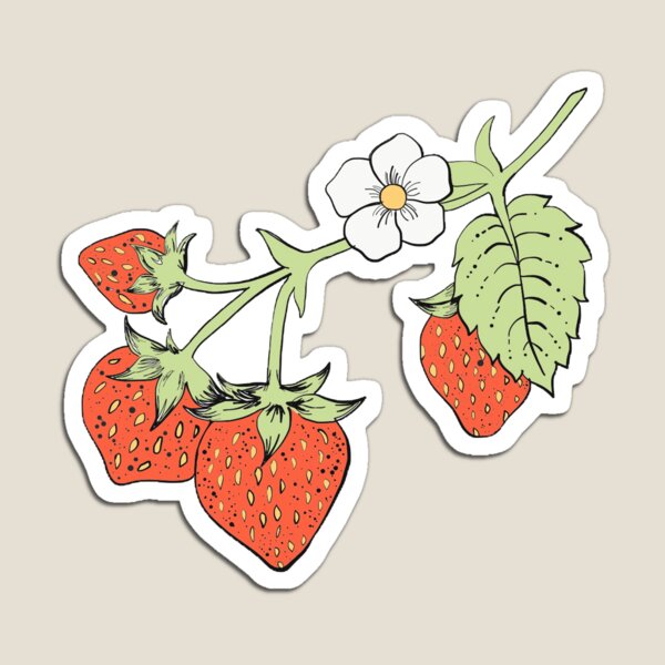 strawberry plant sticker Sticker for Sale by Katelyn Wise