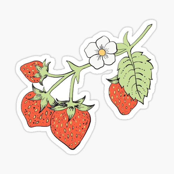 Strawberry stickers  Stickers, Cute food drawings, Vinyl decal stickers