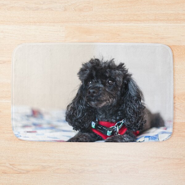 Item preview, Queen of the toy poodles designed and sold by KensLensDesigns.