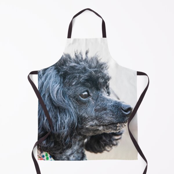 Item preview, The boss poodle designed and sold by KensLensDesigns.