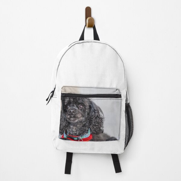 Item preview, Lap Dog designed and sold by KensLensDesigns.