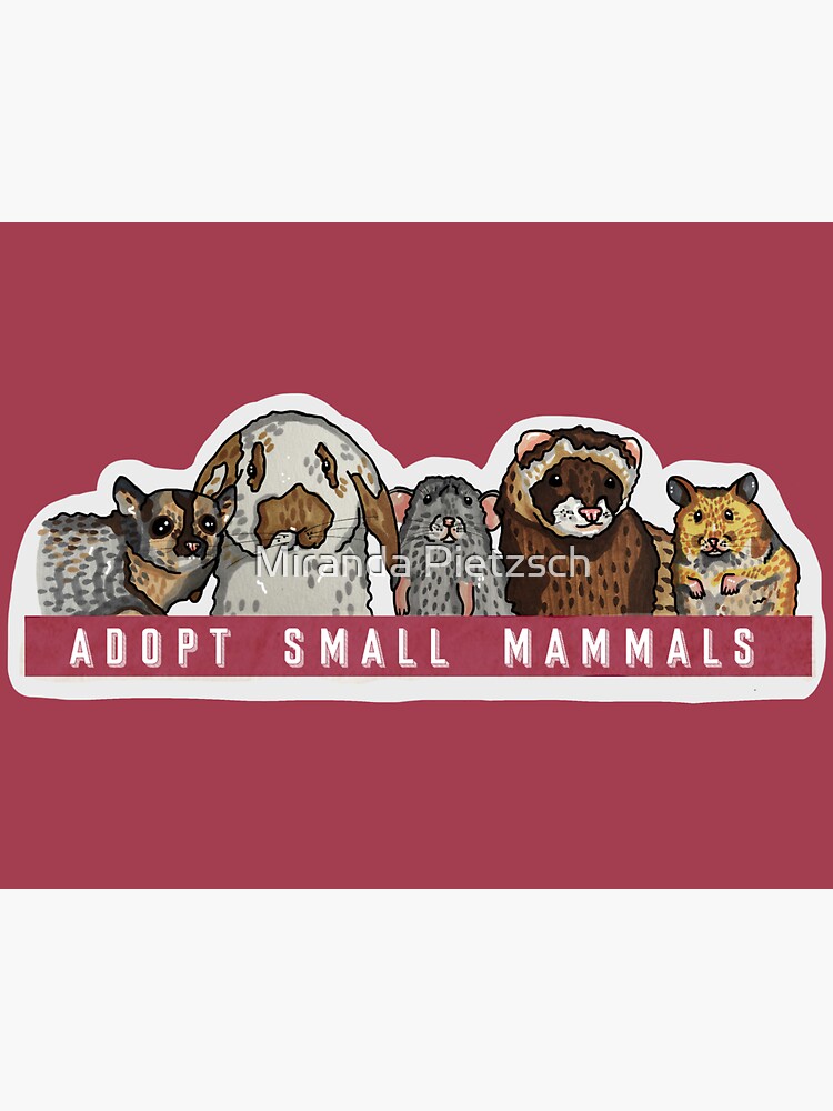 "Adopt Small Mammals Design" Sticker by mirpeachy | Redbubble