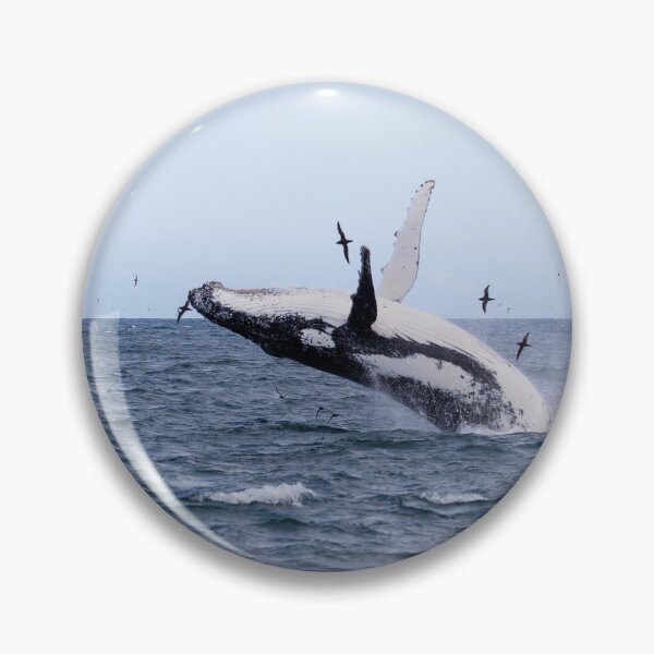Item preview, Humpback Whale Breaching designed and sold by Bart Reardon.