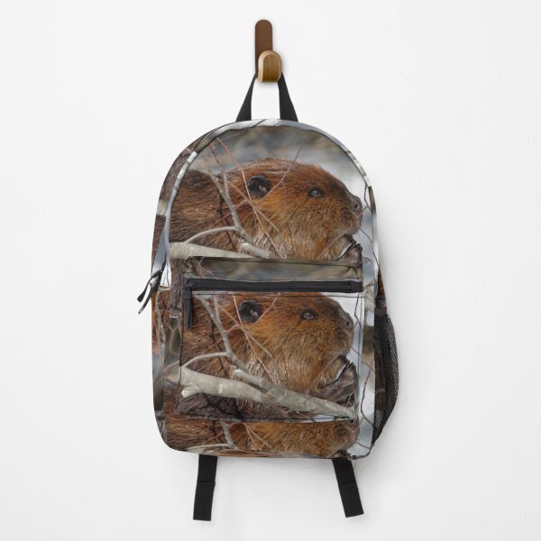 Item preview, North American Beaver (Castor canadensis) designed and sold by rodmacpherson.
