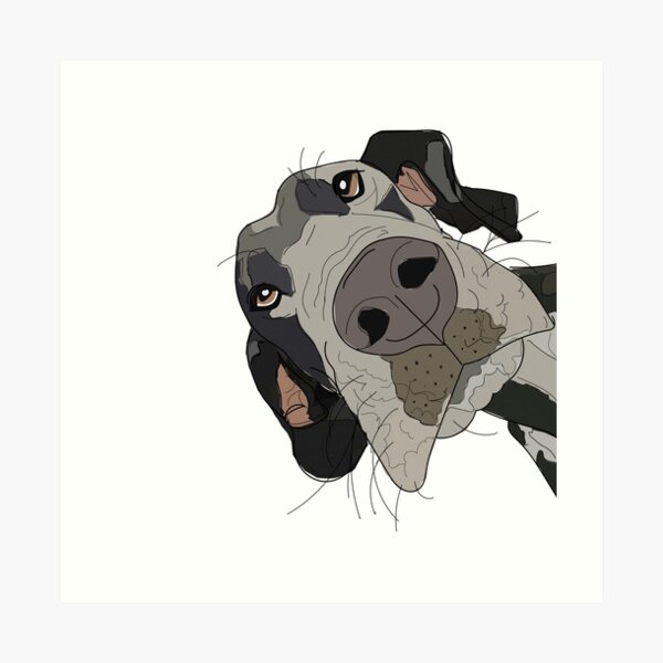 Great Dane In Your Face Dog Art Print