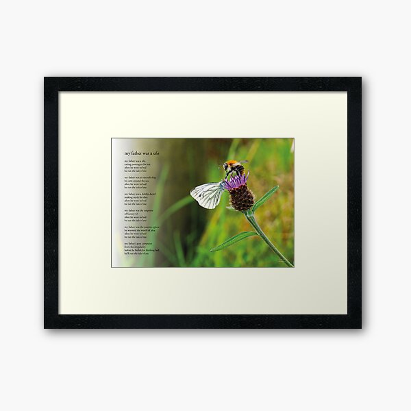 Framed Print
