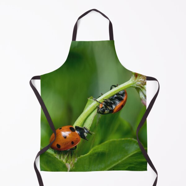 Item preview, Ladybugs designed and sold by SorryToBugYou.