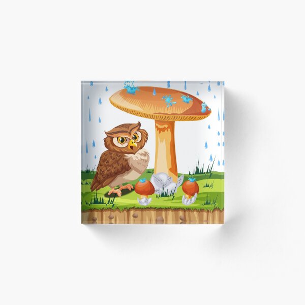 owl next to a fungus under the rain Acrylic Block