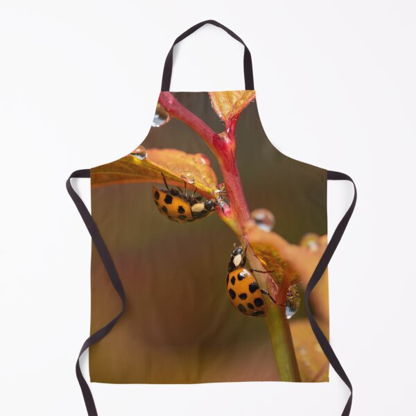 Item preview, Ladybugs and Raindrops  designed and sold by SorryToBugYou.
