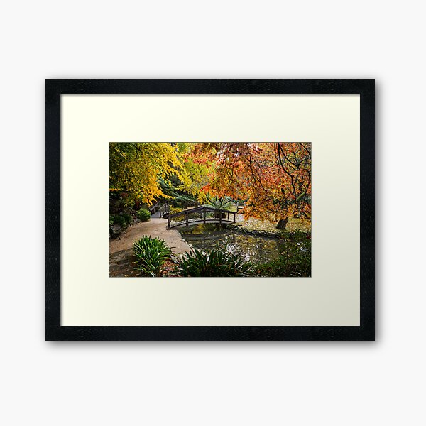 Item preview, Alfred Nicholas Gardens designed and sold by Alistair Wilson.