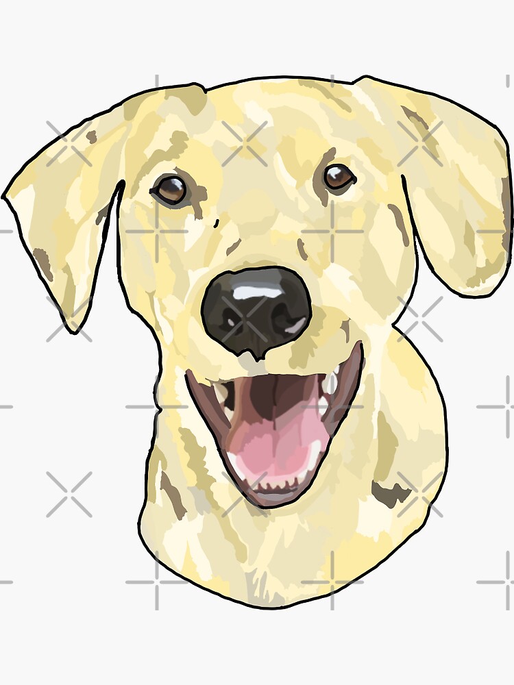 "Yellow lab sticker " Sticker by Sarahwelch11 Redbubble