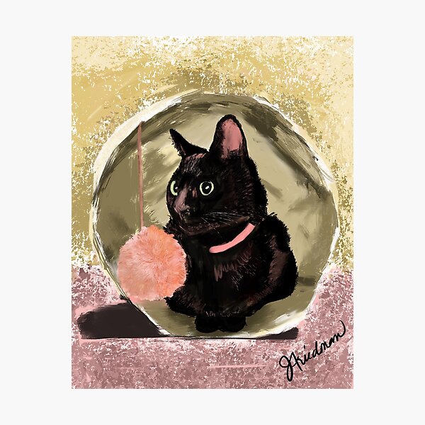 Xena Bean Photographic Print