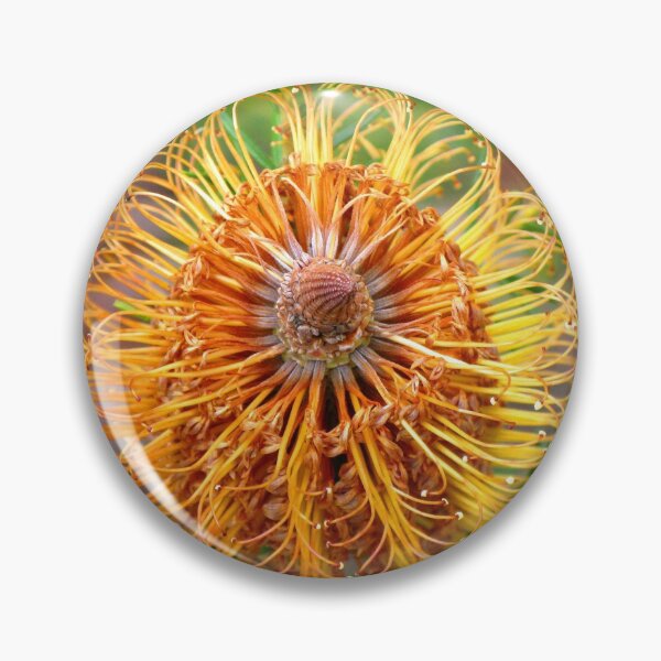 Item preview, Banksia Flower - Australian Native designed and sold by Marilyn Harris.