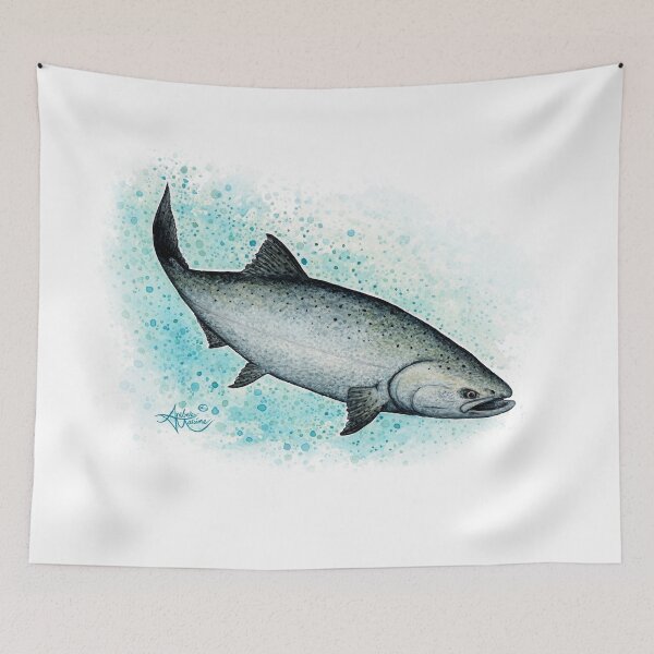 Item preview, "Salmon Splash" by Amber Marine ~ watercolor chinook / king salmon painting, art © 2016  designed and sold by Amber Marine ~ Wildlife Artist ~ © 2004-2021.