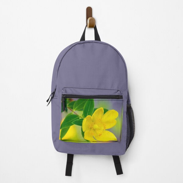 Artikelvorschau, Gelbe Johanniskrautblüte entworfen und verkauft von KarenWoodArt.