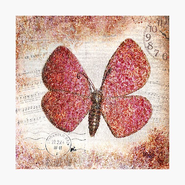 Free like a butterfly Photographic Print