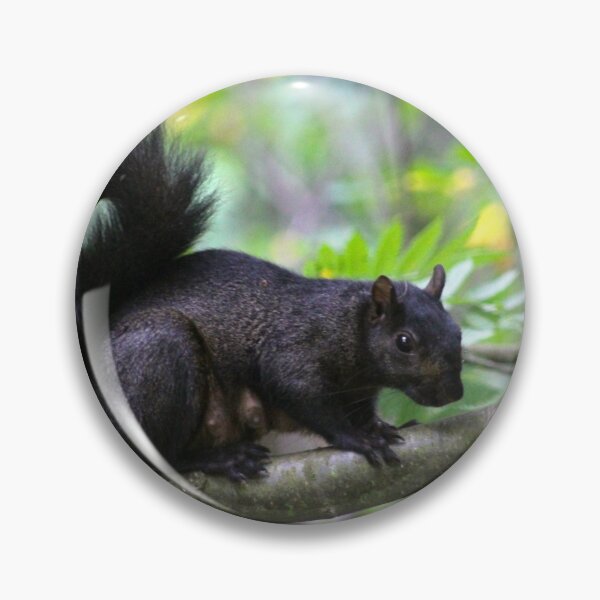 Item preview, Squirrel momma... designed and sold by RichImage.