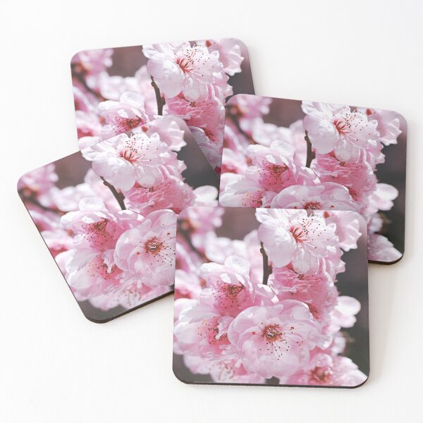 Item preview, Gorgeous Pink Blossom designed and sold by Joy Watson - Natural Light Photography .