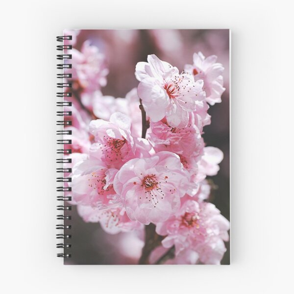 Item preview, Gorgeous Pink Blossom designed and sold by Joy Watson - Natural Light Photography .