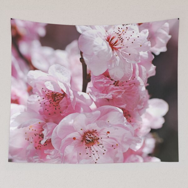 Item preview, Gorgeous Pink Blossom designed and sold by Joy Watson - Natural Light Photography .