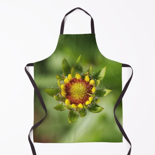 Gaillardia Bud Winter Apron