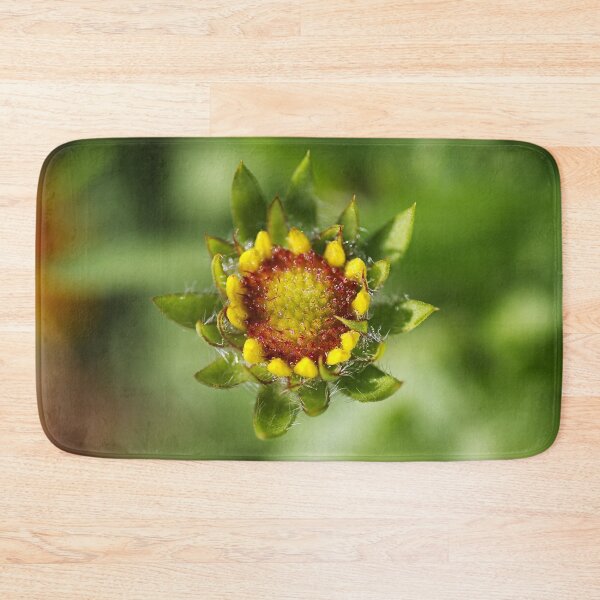 Item preview, Gaillardia Bud Winter designed and sold by Joy Watson - Natural Light Photography .
