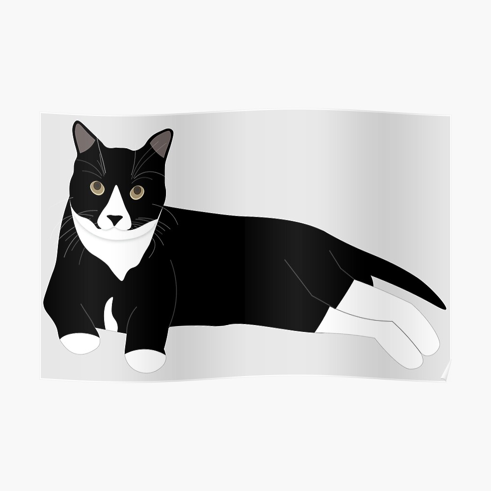 Tuxedo Cat Meme Poster