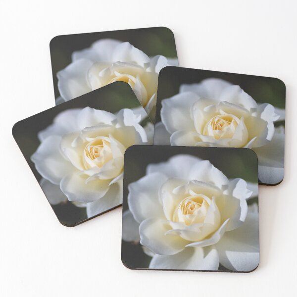 Item preview, Soft And White Rose designed and sold by Joy Watson - Natural Light Photography .
