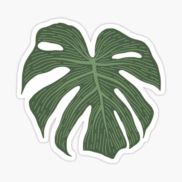 Monstera Leaf Sticker