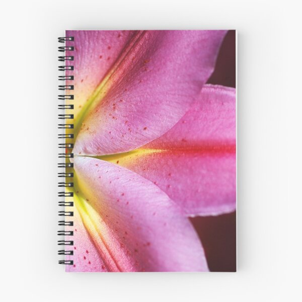 Item preview, Shapes Of The Lily  designed and sold by Joy Watson - Natural Light Photography .