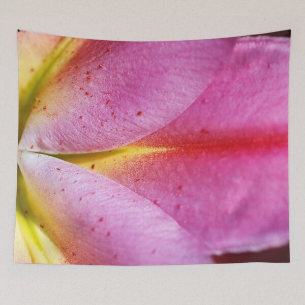 Item preview, Shapes Of The Lily  designed and sold by Joy Watson - Natural Light Photography .