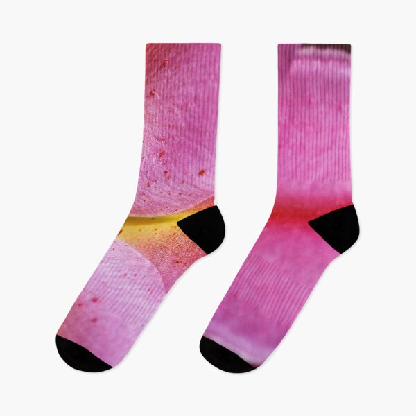 Item preview, Shapes Of The Lily  designed and sold by Joy Watson - Natural Light Photography .
