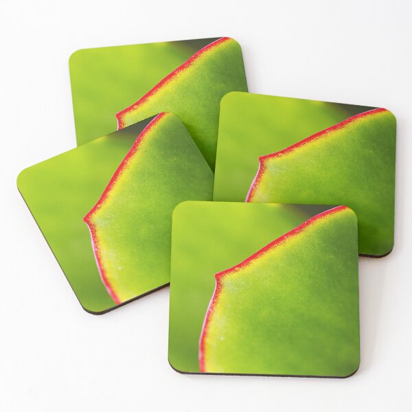 Item preview, Green Cactus Leaves  designed and sold by Joy Watson - Natural Light Photography .