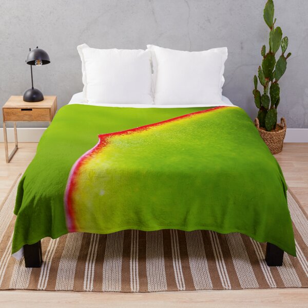 Item preview, Green Cactus Leaves designed and sold by Joy Watson - Natural Light Photography .