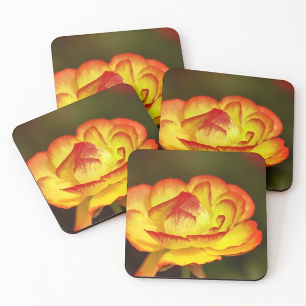 Item preview, Petals Opening designed and sold by harborhouse55.