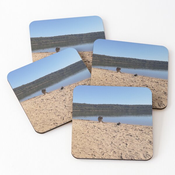 Item preview, Kangaroos on the sand at Lysterfield Lake designed and sold by Jazzymitch1.
