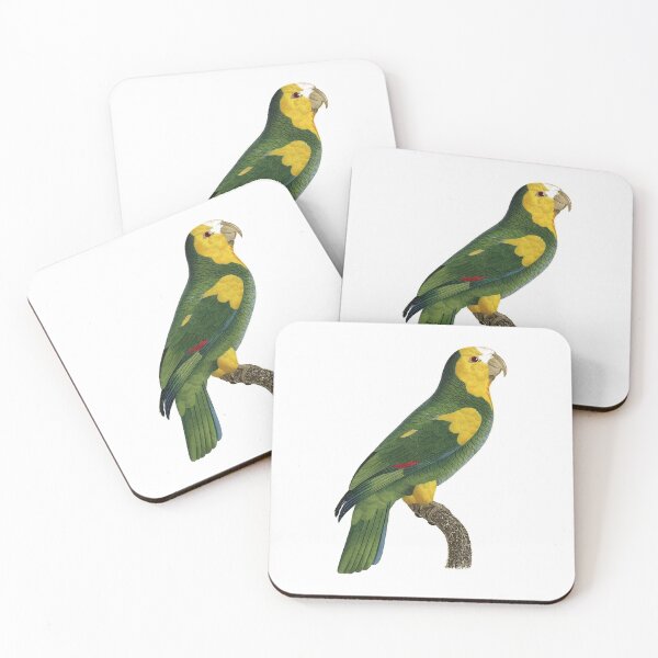 Item preview, Yellow-shouldered amazon designed and sold by Photopicture.