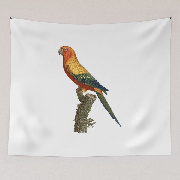 Item preview, Sun parakeet designed and sold by Photopicture.