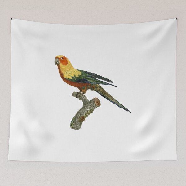 Item preview, Sun parakeet. designed and sold by Photopicture.