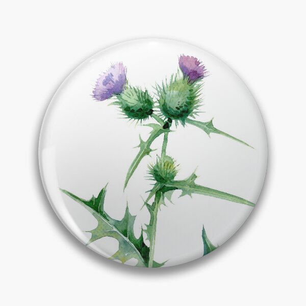 Item preview, Watercolor thistle illustration  designed and sold by TatianaKa.